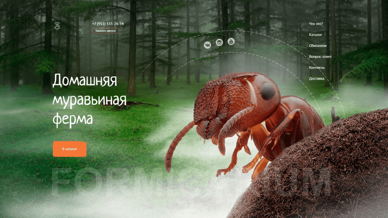 AntFarm - домашняя муравьиная ферма картинка проекта